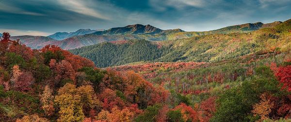 Multicolored fall panoramic landscape-Wasatch Mountains-near Park City and Midway-Utah-USA